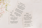 Secretary Typewriter font, a Serif Font by Ana's Fonts (Thumbnail 6 of 8)