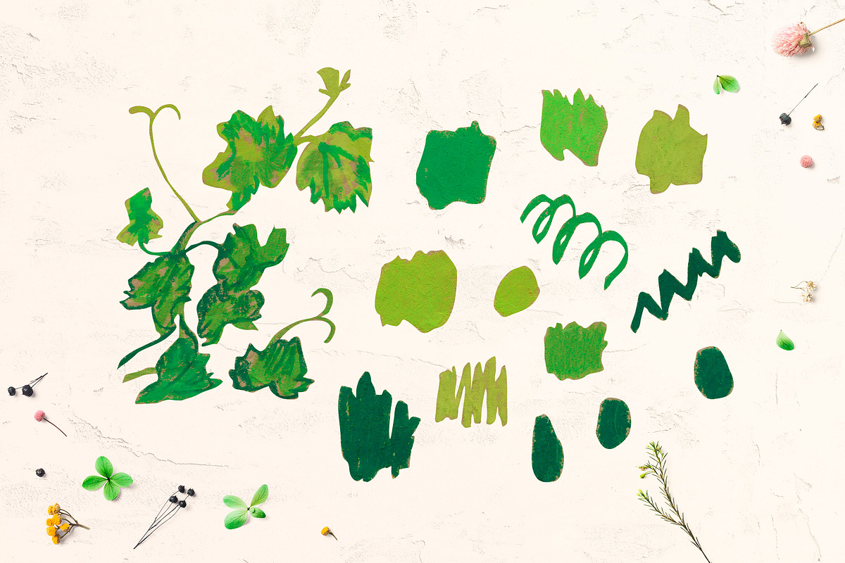 Crayon Ivy & Grape Vine Clipart, a Healthcare Illustration by Lucyinyourheart (Photo 3 of 5)