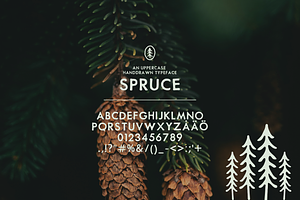 SPRUCE UPPERCASE TYPEFACE