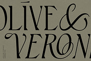 Aveline, Soft Serif with Ligatures, a Serif Font by CarmineType (Thumbnail 6 of 28)