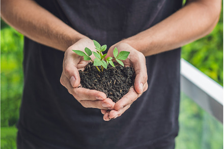 Hands holding young green plant, on, a Nature Photo by Elizaveta Galitskaya