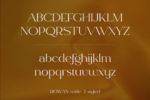 Rowan Typeface - 116 Styles & Script