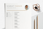 Resume Template Creative, a Resume Template by LucaTheme (Thumbnail 4 of 10)