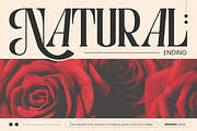 Astella Luxury - Branding Logo Font, a Serif Font by Nirmana Visual (Thumbnail 9 of 16)