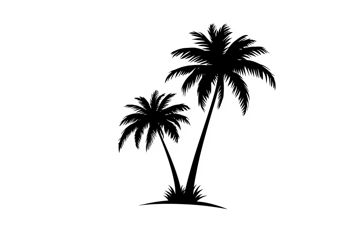 Tropical Palm Tree Silhouette Bundle, an Illustration by Amazin_art (Photo 15 of 21)