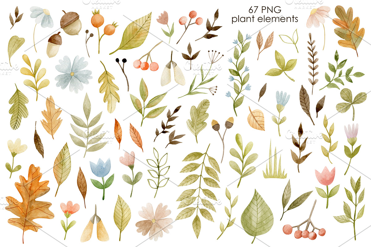 Watercolor autumn collection., a Decorative Illustration by Kira Konoshenko (Photo 2 of 26)