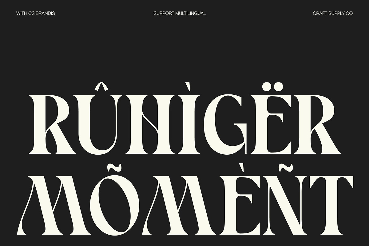 CS Brandis – Modern Serif Font, a Serif Font by Craft Supply Co. (Photo 4 of 8)