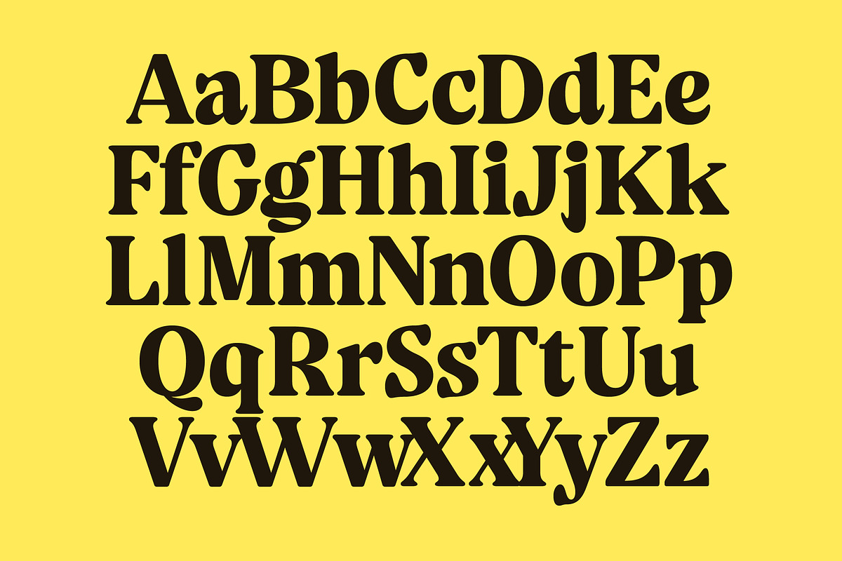 Volkgen Bold Modern Display Serif, a Serif Font by timelesstype.co (Photo 12 of 15)
