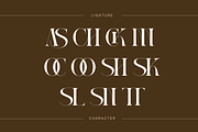 Ackor - Branding Logo Font, a Serif Font by Nirmana Visual (Thumbnail 11 of 11)