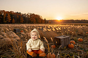 Autumn Photography Digital Backdrops, a Background Graphic by 3Motional (Thumbnail 11 of 19)