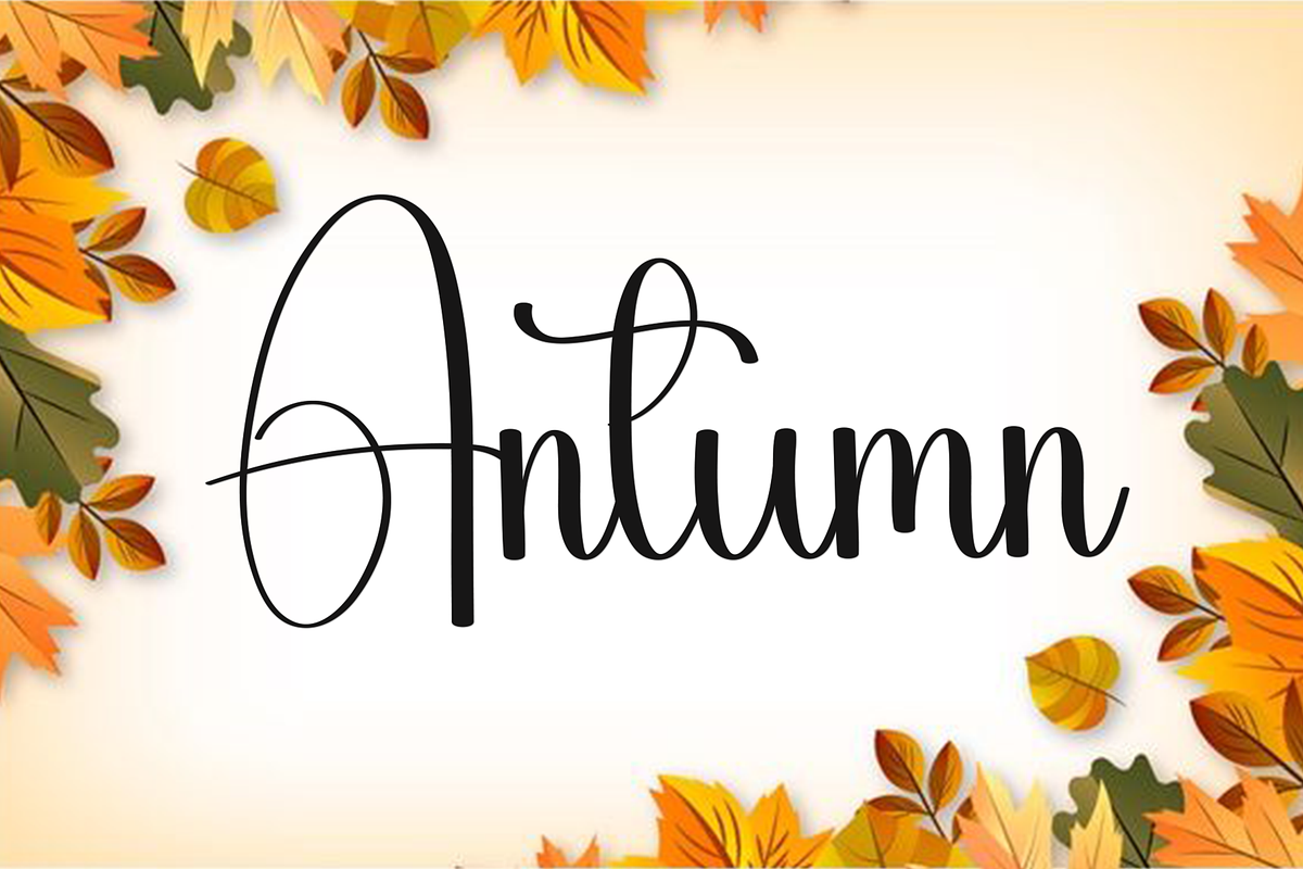 Angela Samantha, a Handwritten Font by FreshTypeINK (Photo 2 of 8)