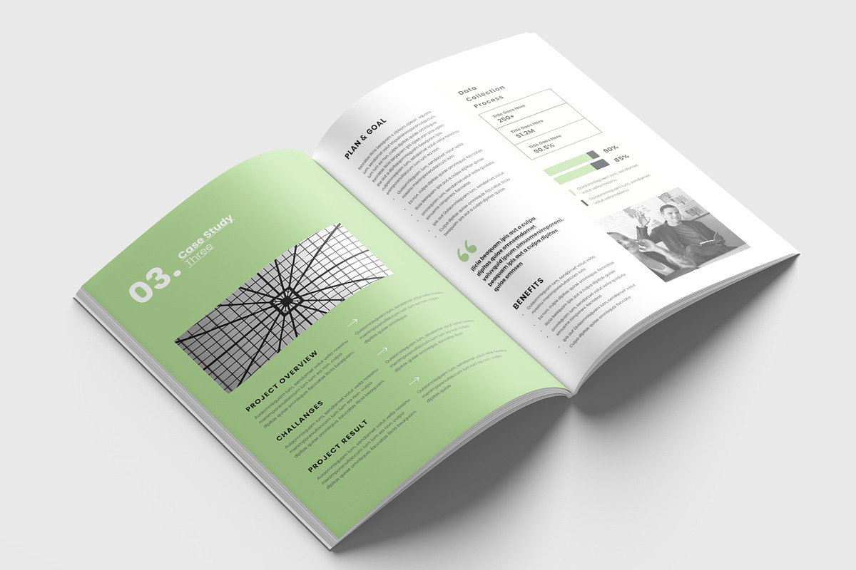 Case Study Template, Brochure, a Brochure Template by Niofix (Photo 3 of 6)