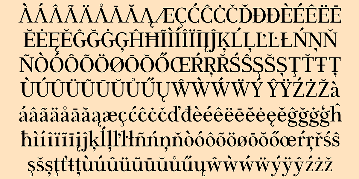 XAabced, a Serif Font by Ingrimayne Type (Photo 9 of 9)