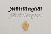 Thitheri - Modern Retro Typeface, a Serif Font by RagamKata (Thumbnail 12 of 12)
