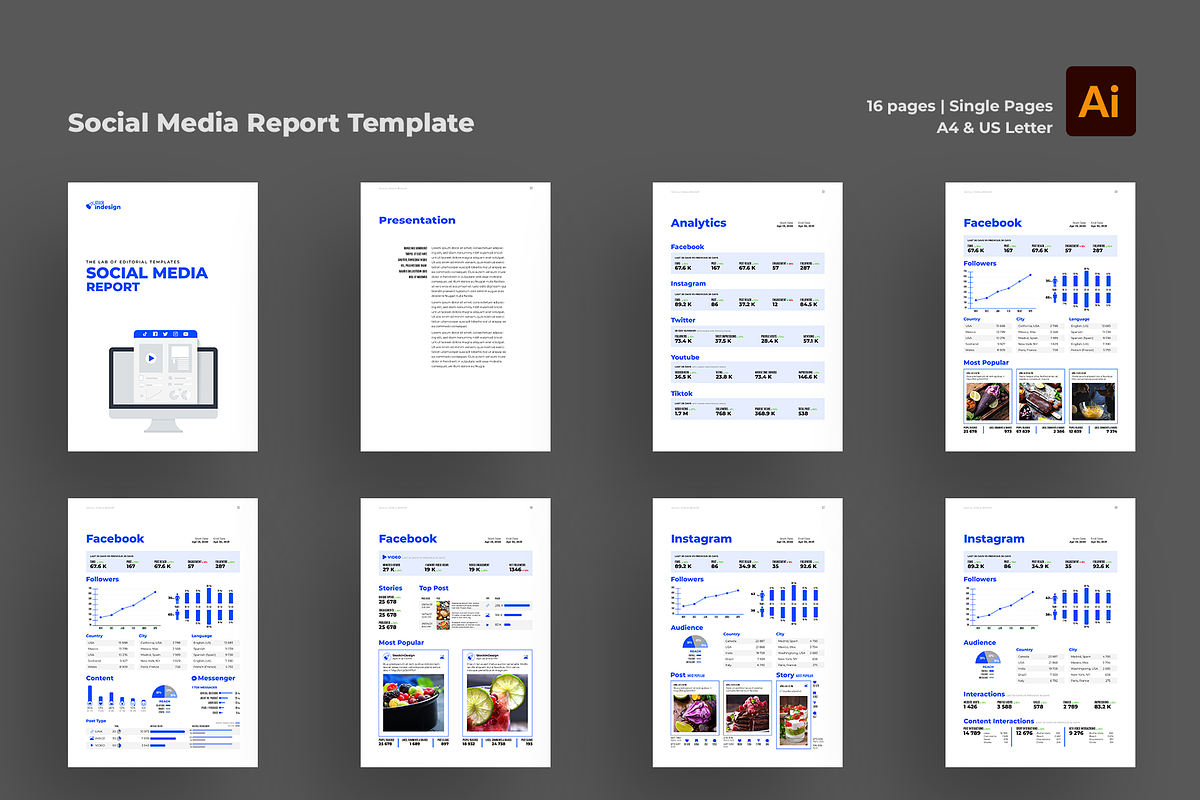 Social Media Report Template, a Brochure Template by StockInDesign (Photo 10 of 11)