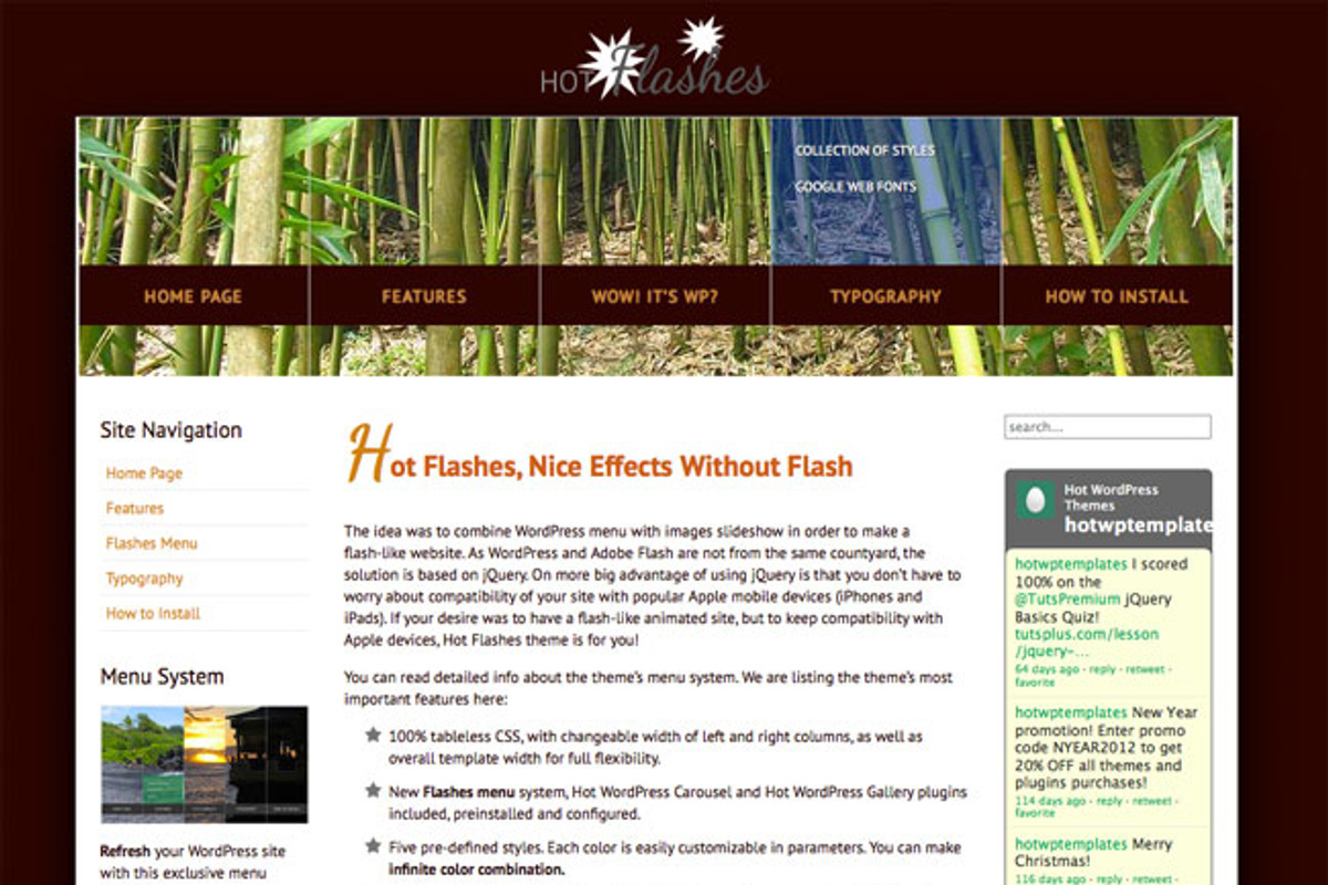 Hot Flashes, a WordPress Template by hot-themes (Photo 4 of 5)