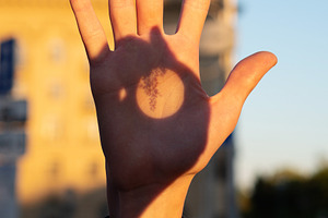 Vertical close-up of hand with plant, a Wallpaper Photo by Elena Vagengeim