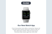 Flow Email Template + Builder, an Email Template by Digico (Thumbnail 5 of 5)
