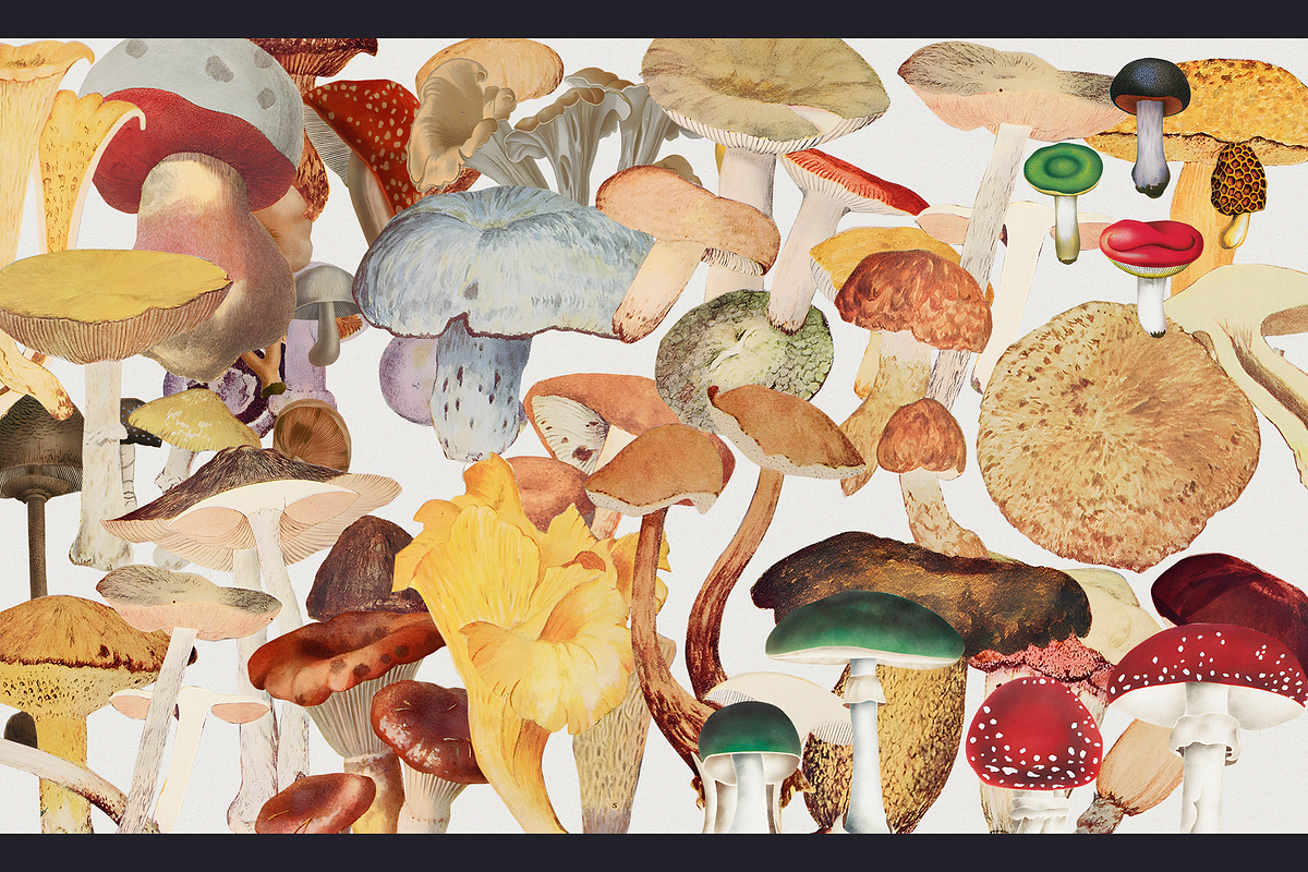 50% SALE!!! American Retro Collage C, an Object Graphic by Lilithcollageart (Photo 7 of 13)
