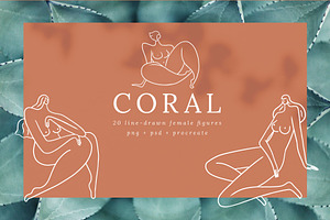 Coral Feminine Line Drawings