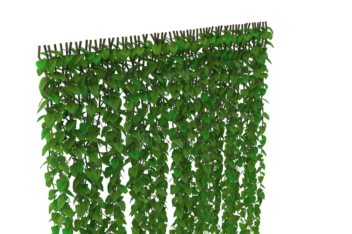 Wall of vines, an Environmental 3D Model by AndrewWhite (Photo 5 of 5)