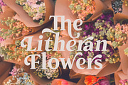 The Kalliagi, a Serif Font by Propertype (Thumbnail 8 of 10)