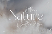 Dealoras Font Duo, a Serif Font by Attract Studio (Thumbnail 13 of 17)