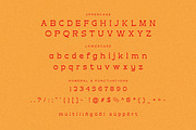 Hemas Serif Display Font, a Serif Font by Hishand Studio (Thumbnail 8 of 10)
