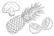 Vintage Vegetables & Fruits Kit, a Food Illustration by kulturrrno (Thumbnail 2 of 5)