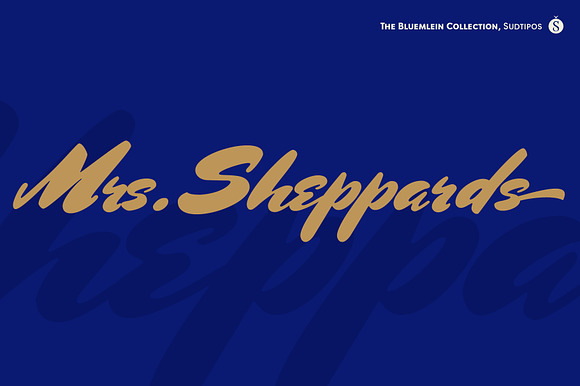Mrs Sheppards Pro preview 7