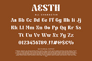 Aesth, a Slab Serif Font by HATFSTUDIO (Thumbnail 8 of 9)