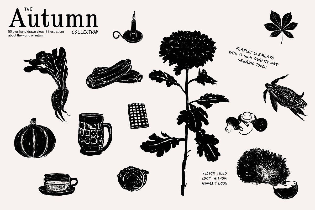 The Autumn Collection Illustrations, an Illustration by dicreate (Photo 3 of 15)