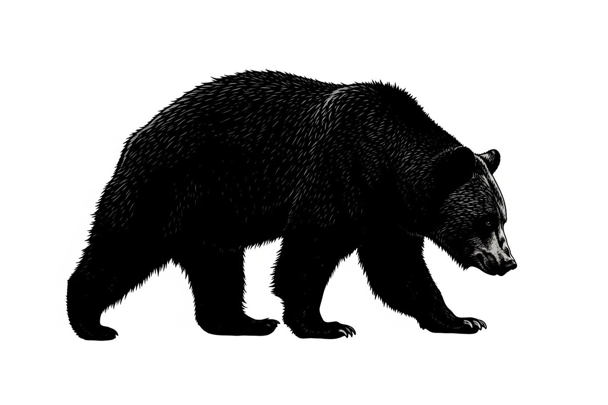 Nature Wildlife Bear Silhouette Bund, an Illustration by Designs_River (Photo 42 of 51)