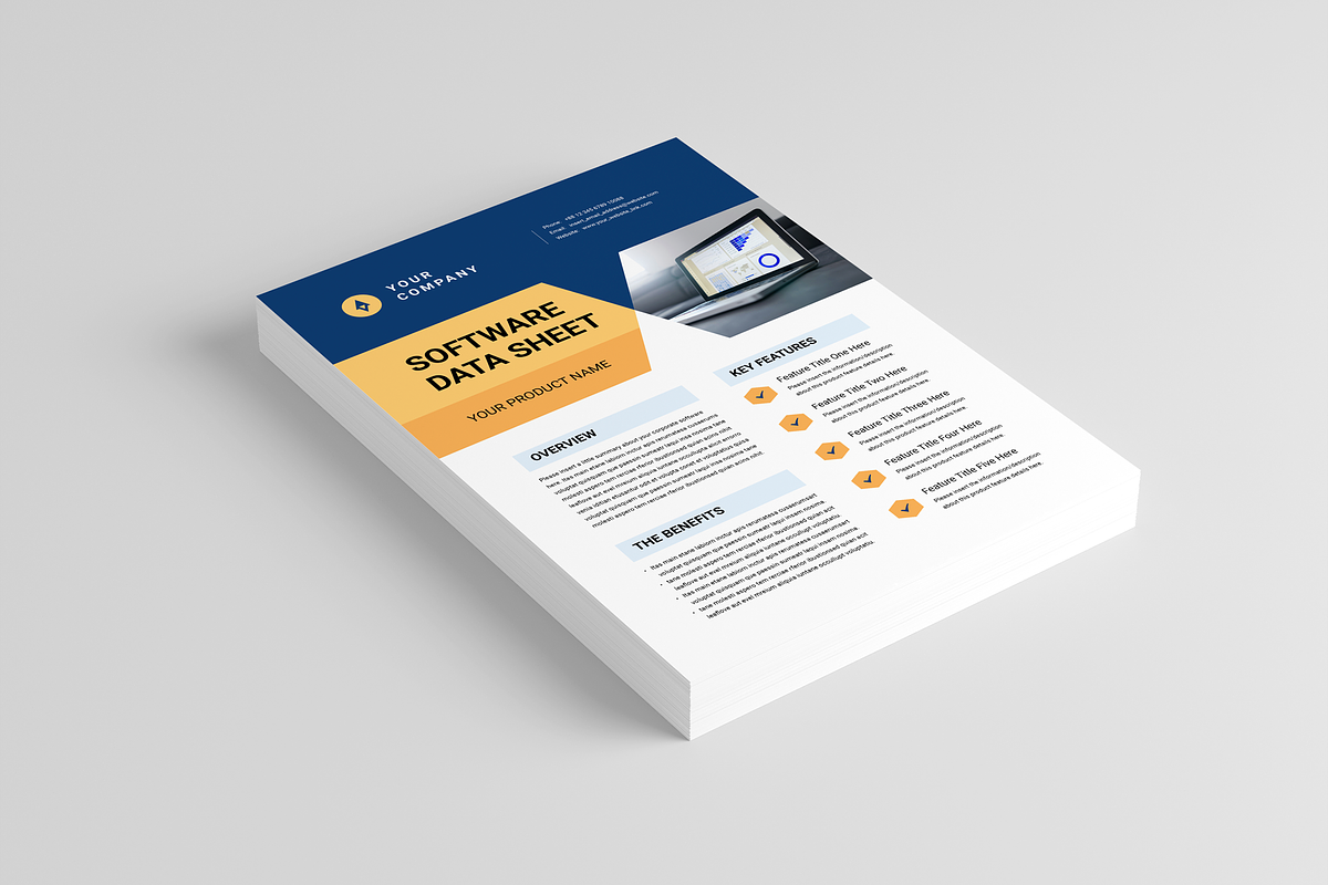 Software Company Data Sheet, a Flyer Template by Leaflove (Photo 2 of 5)