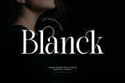 Blanck Modern Ligature Serif, a Serif Font by Alfinart (Thumbnail 1 of 8)