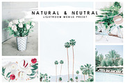 Natural Lightroom Mobile Preset, an Action Add-On by Lux Light (Thumbnail 19 of 28)