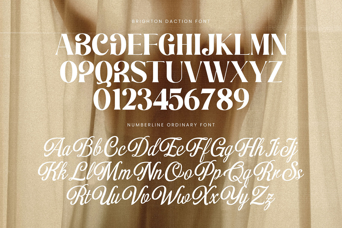 Brighton Daction Serif Font, a Serif Font by Graphicxell (Photo 14 of 19)