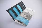 Trifold Brochure Template, a Brochure Template by Alice_s (Thumbnail 3 of 10)