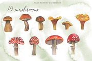 Watercolor: set of forest elements, a Graphic by WatercolorAnn (Thumbnail 6 of 13)