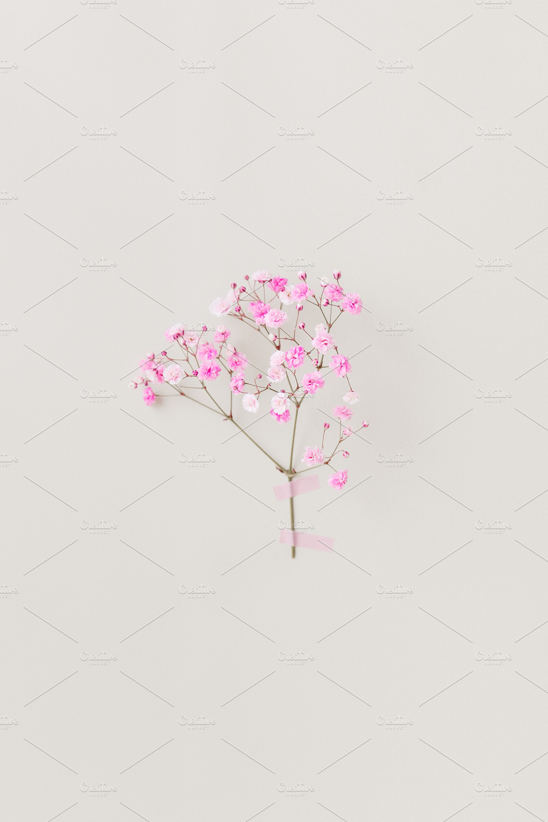 Minimal photo from floral series wit, an Arts & Entertainment Photo by Edalin's Store