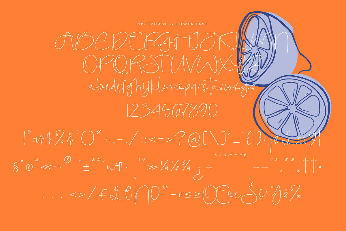 Midnight Diamond, a Script Font by Integritype Studio (Photo 14 of 15)