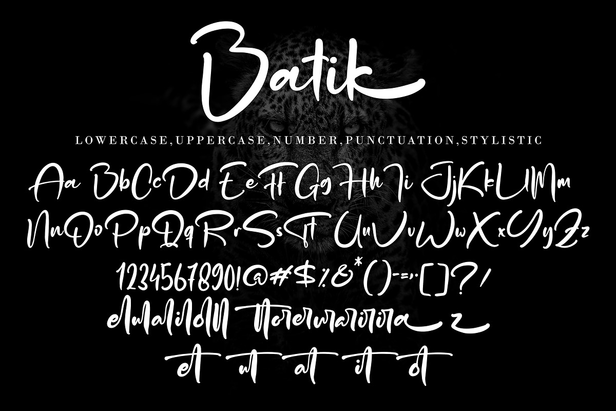 Batik, a Script Font by pineungtype (Photo 10 of 10)