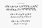 Rolland Ligature Serif Font Typeface, a Serif Font by Graphicxell (Thumbnail 8 of 10)