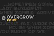 Overgrow Typeface, a Font by Revorklabs (Thumbnail 10 of 16)