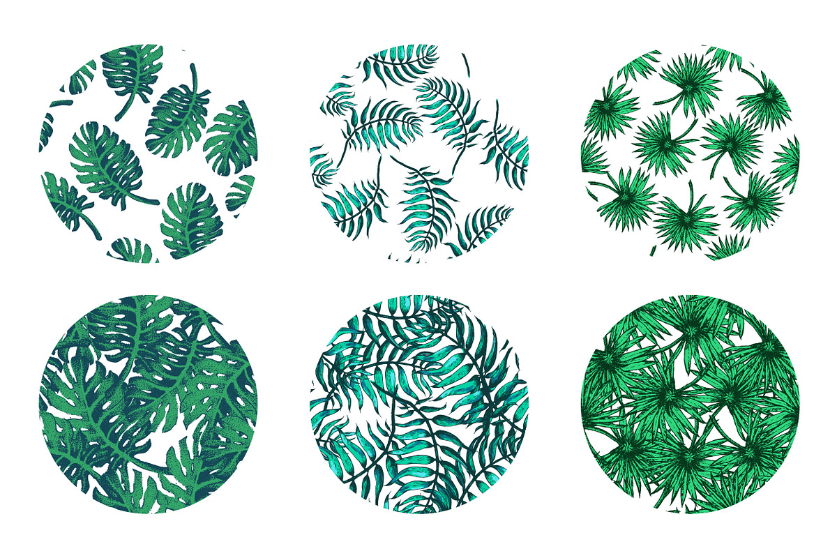 Tropical Patterns, a Pattern Graphic by Katyr (Photo 3 of 4)