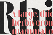 LaRuja - Modern Serif Typeface, a Serif Font by SilverStag Type Foundry (Thumbnail 5 of 20)