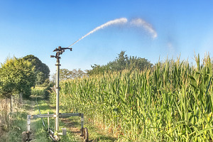 Farm field wheat growing field, a Nature Photo by KYNA STUDIO