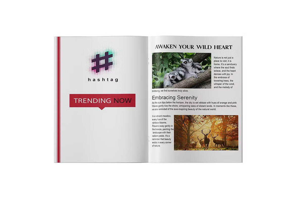 Magazine Mockup, a Books & Magazine Mockup by Mockupfit (Photo 4 of 13)