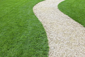 Garden stone path with green lawn, a Nature Photo by BOOCYS