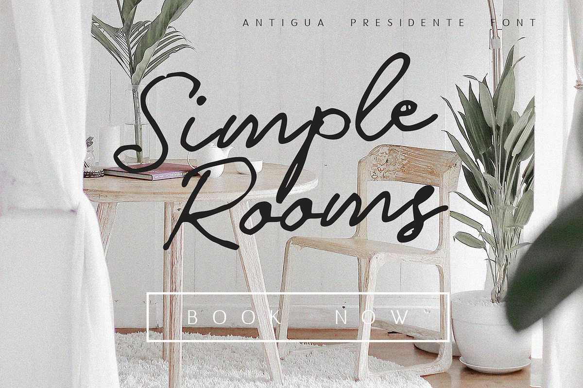 Antigua Presidente - Script Font preview 2